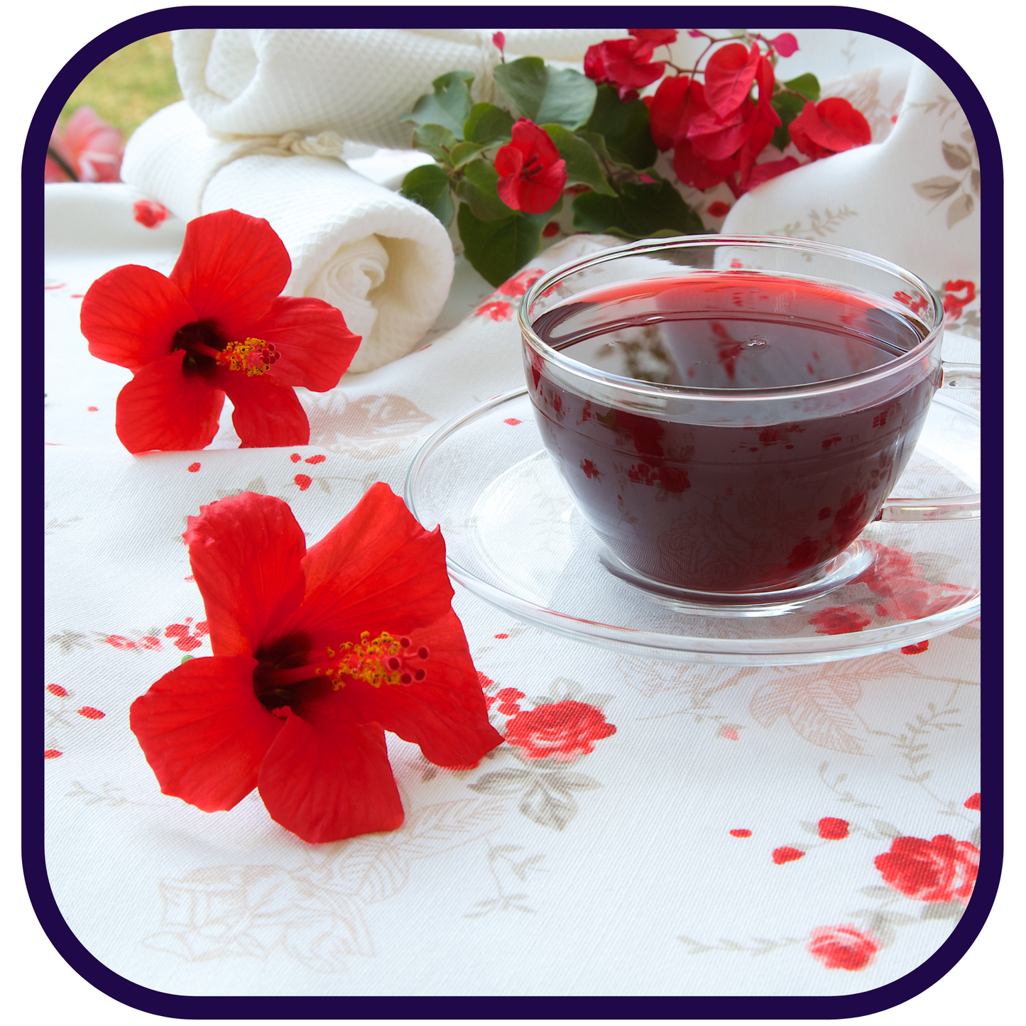 Spiced Tangy Hips Tango (Blood Orange) Fruit/Herbal Tea