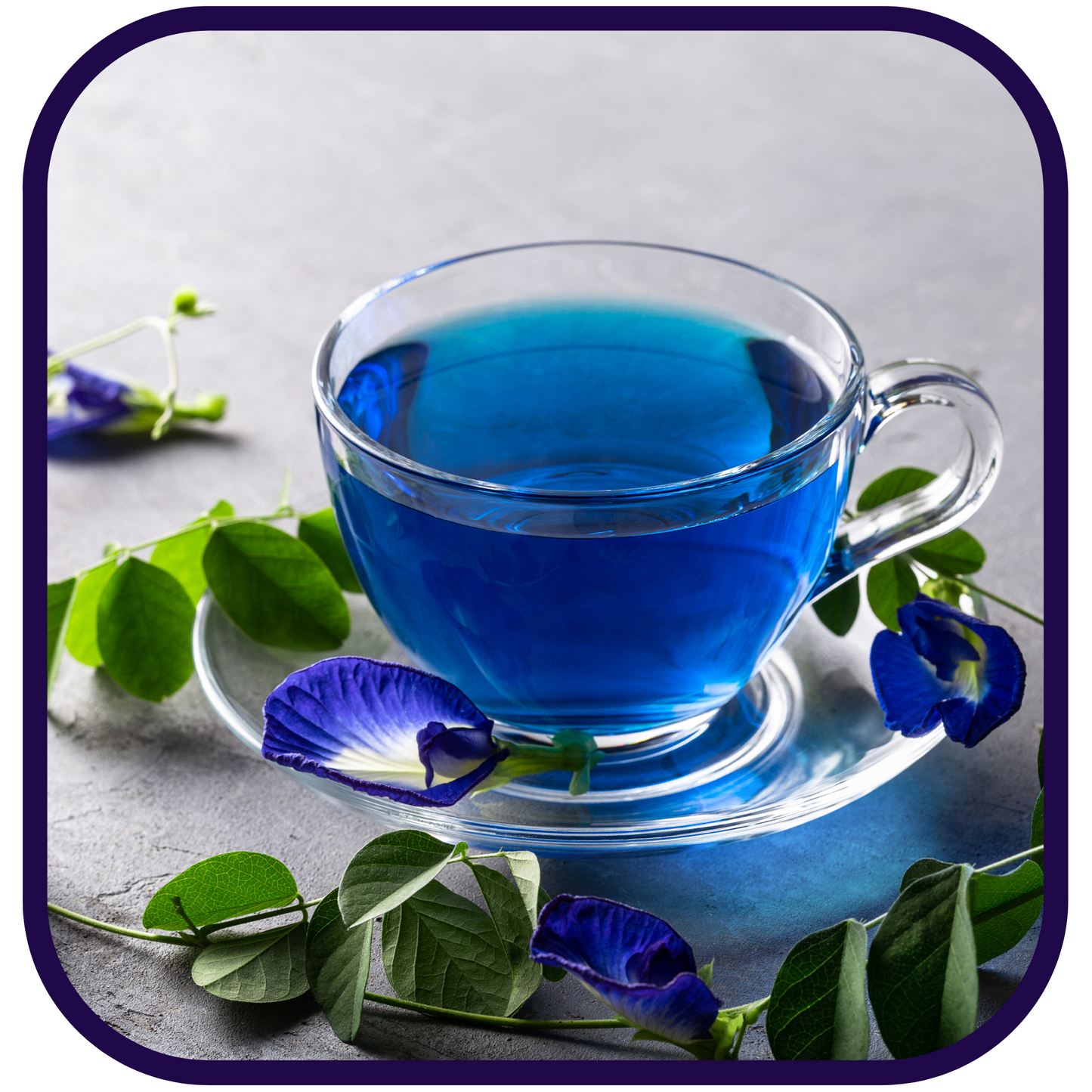 Magical Butterfly Pea Flowers