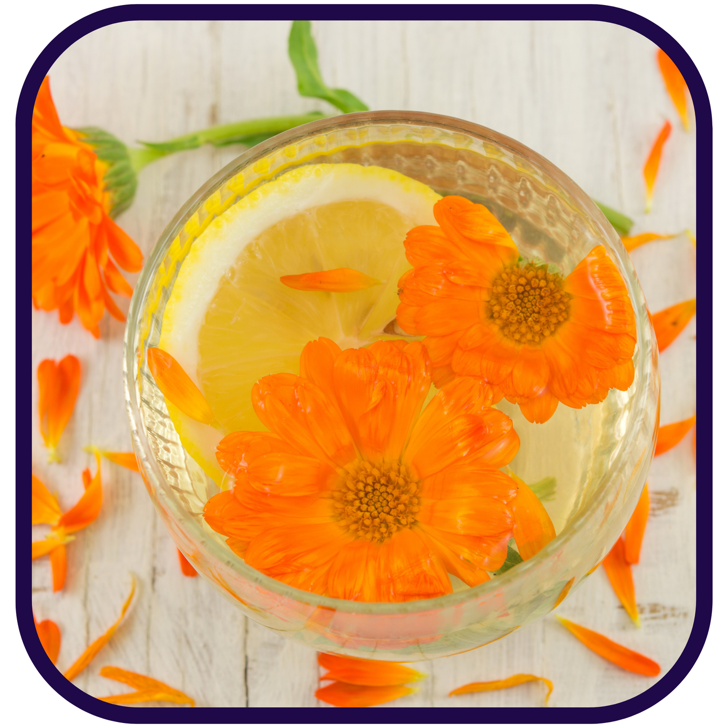 Sol's Citrus Dawn Green Loose Leaf Tea