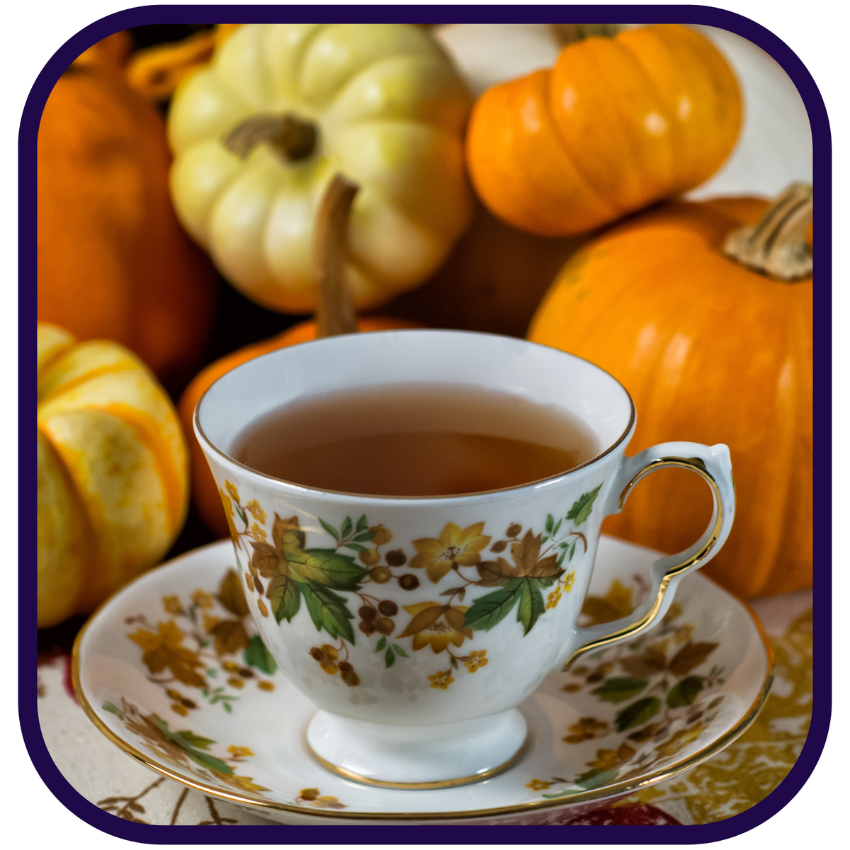 Pumpkin Spice & Prose Loose Black Tea