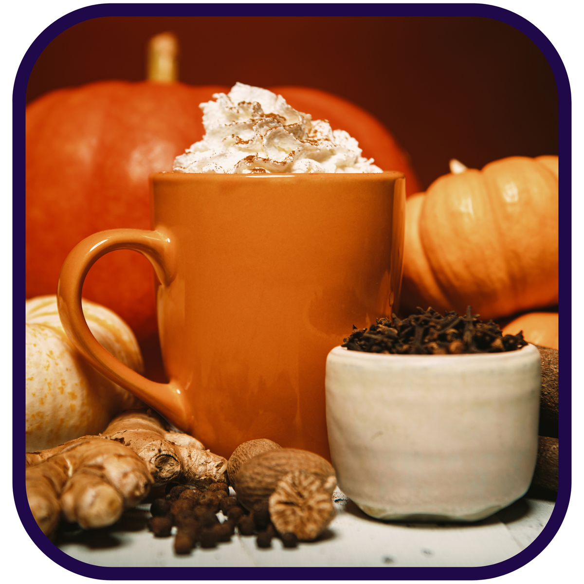 Pumpkin Spice & Prose Loose Black Tea