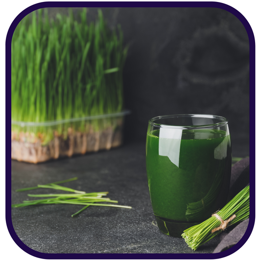 Sweet Verdant Bloom Matcha