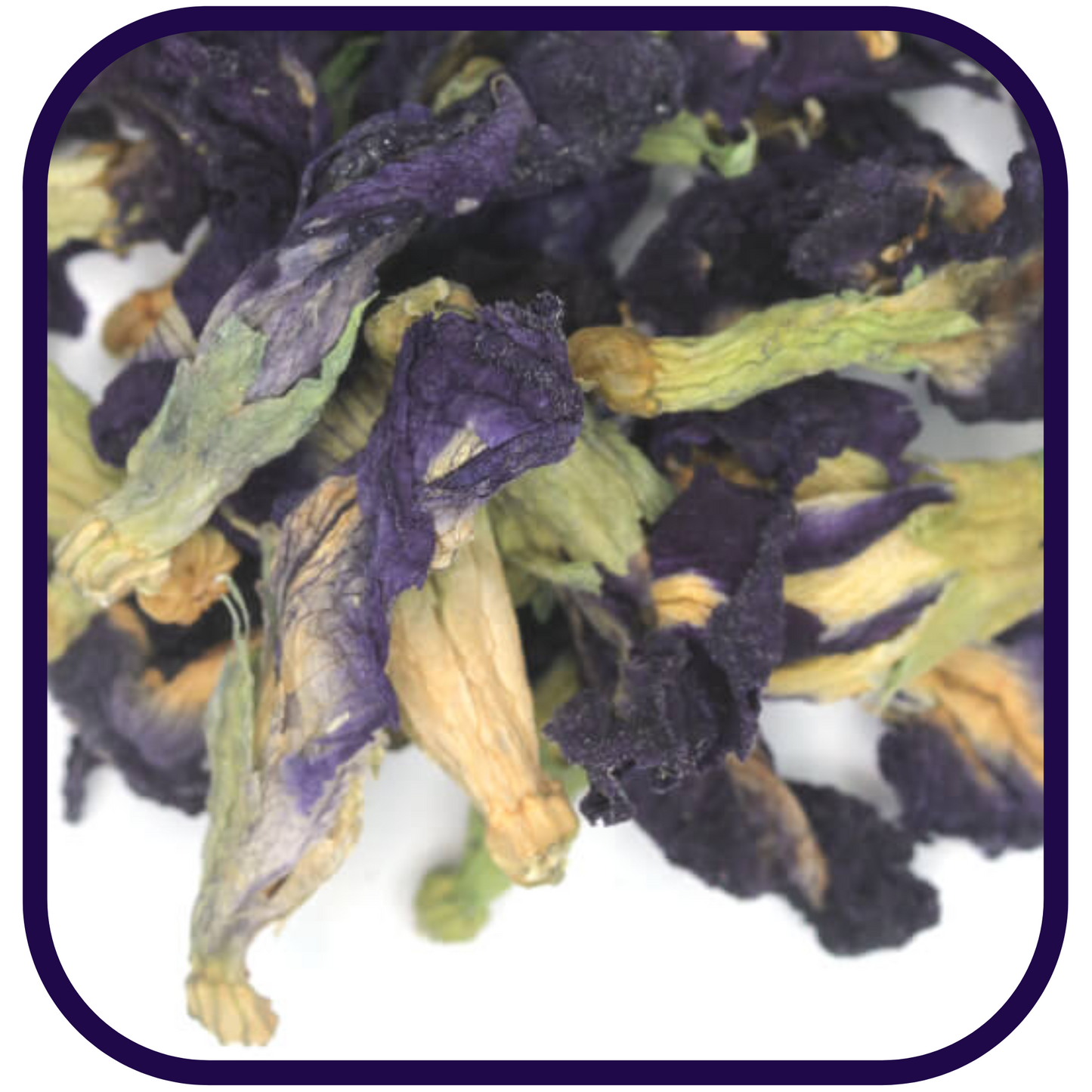 COMING SOON: Magical Butterfly Pea Flowers