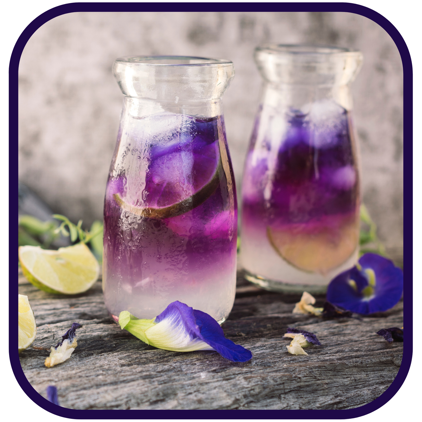 COMING SOON: Magical Butterfly Pea Flowers