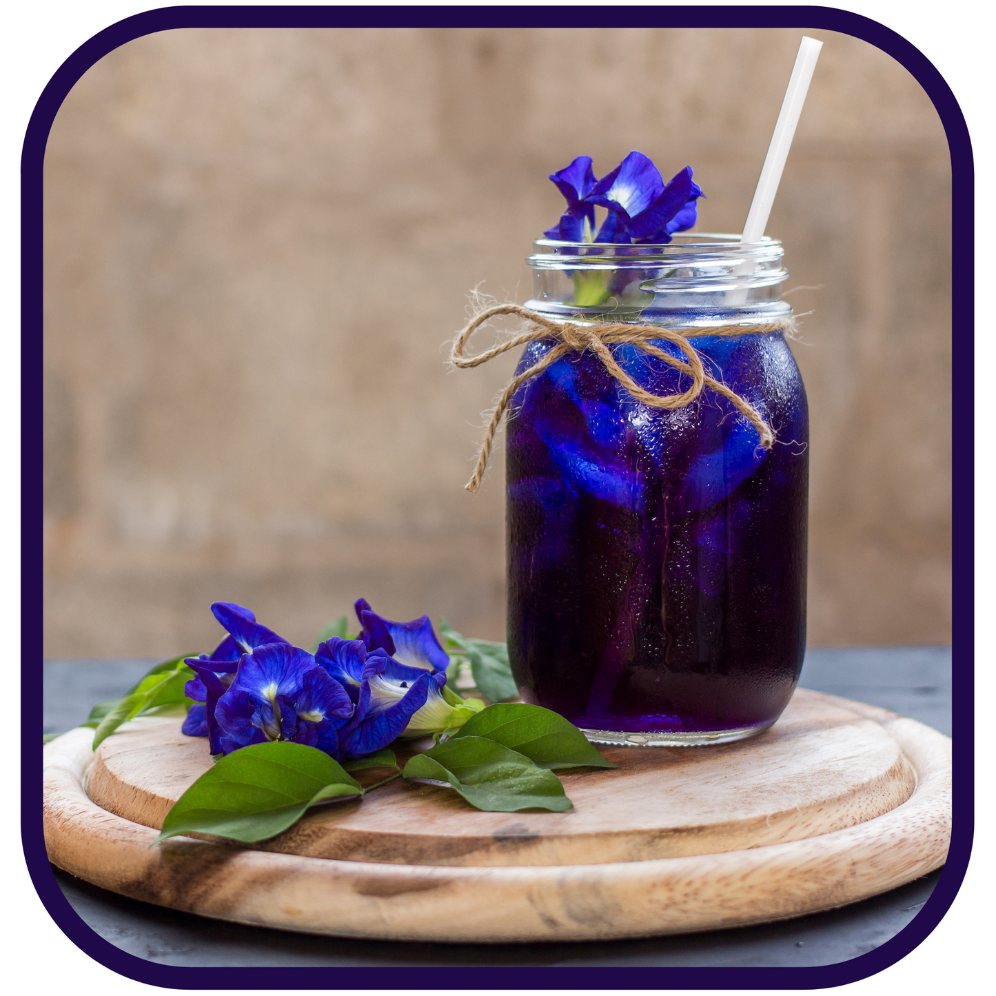 COMING SOON: Magical Butterfly Pea Flowers