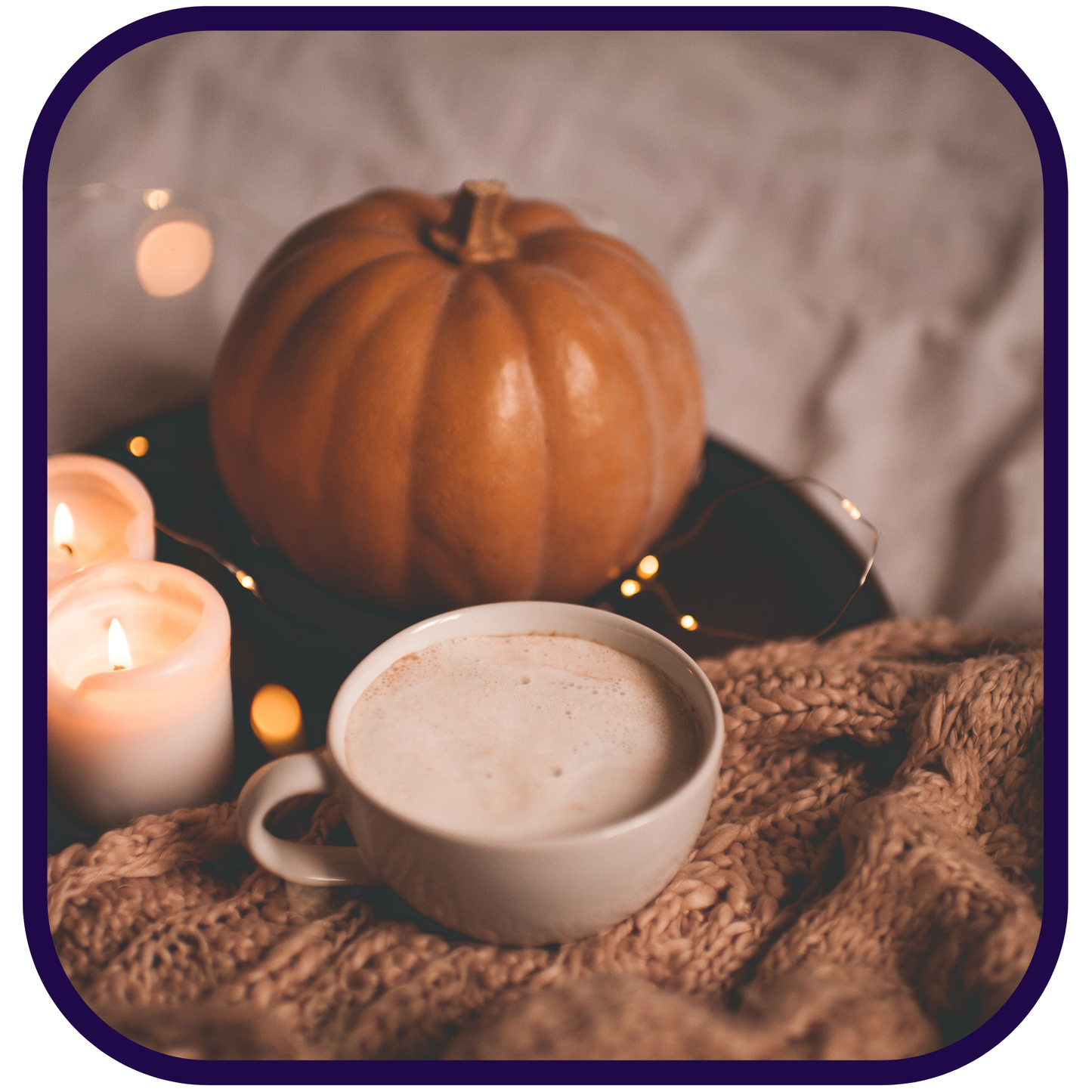 Harvest Moon Pumpkin Chai Loose Honeybush Tea