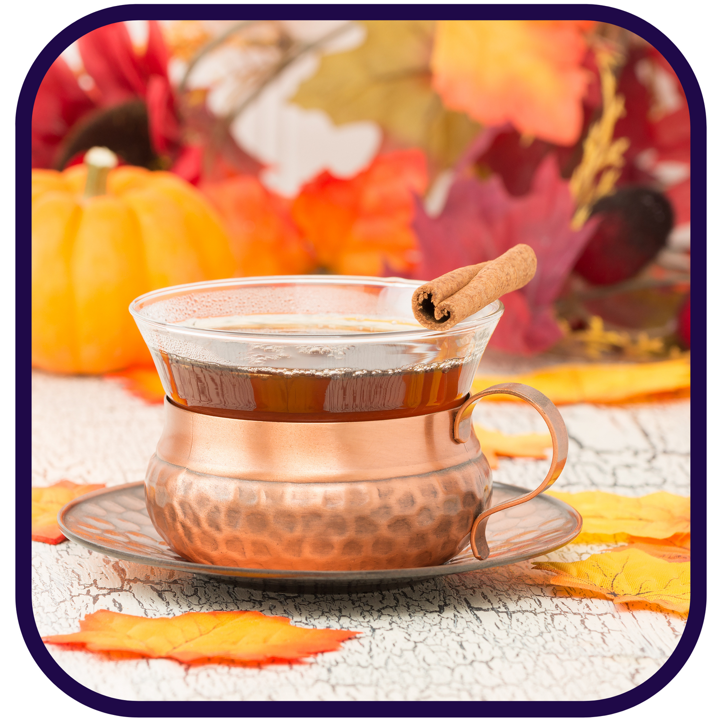 Harvest Moon Pumpkin Chai Loose Honeybush Tea